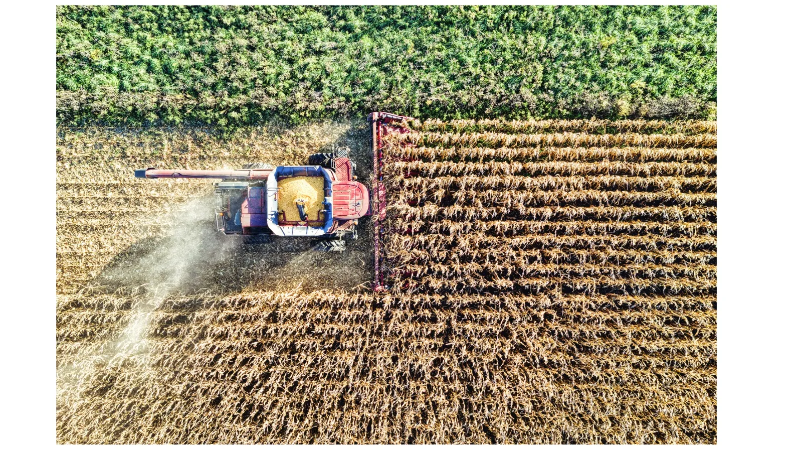 Agricultural harvester in the field — Bursa Malaysia sustainability reporting
